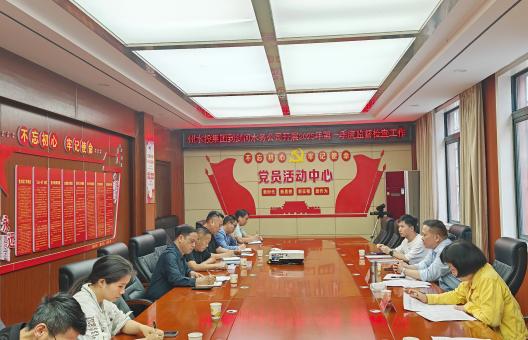 监督检查促提升，党建引领谋发展