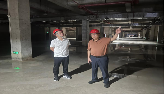 黔东南水投从盛水务公司党支部：党建引领聚合力，实干担当保民生